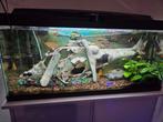 Aqarium, Dieren en Toebehoren, Vissen | Aquaria en Toebehoren, Ophalen, Zo goed als nieuw