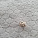 Pandora Bedel Vergeetmanietje, Sieraden, Tassen en Uiterlijk, Bedels, Ophalen of Verzenden, Zo goed als nieuw, Zilver, Pandora