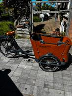 Babboe curve-e elektrische bakfiets, 4 kinderen of meer, Zo goed als nieuw, Elektrisch, Ophalen