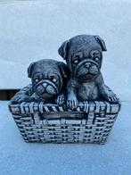 betonnen hondjes in mandje 25x25cm/Nieuw!, Ophalen, Woondecoratie eindhoven, Nieuw, Woondecoratie eindhoven