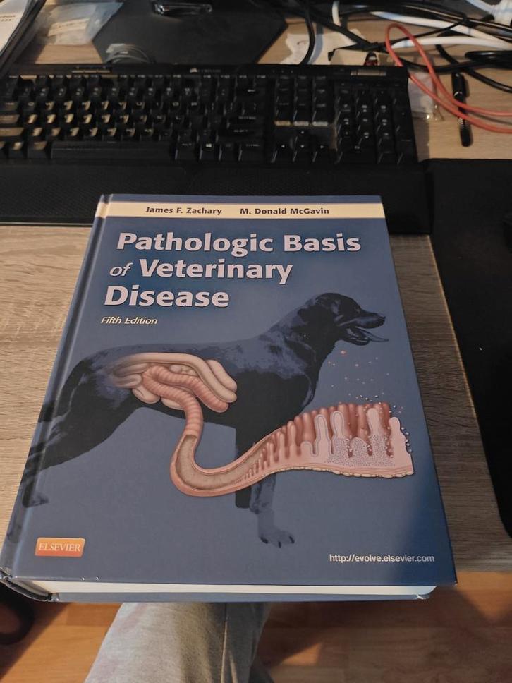 Pathologic Basis of Veterinary Disease - Zachary, Boeken, Studieboeken en Cursussen, Zo goed als nieuw, WO, Beta, Ophalen of Verzenden