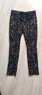 Mooie travelstof broek van Jane Lushka maat M, Kleding | Dames, Broeken en Pantalons, Maat 38/40 (M), Blauw, Ophalen of Verzenden