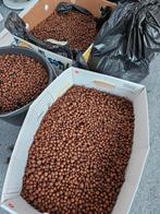 Grote hoeveelheid hydrokorrels 5€/emmer, Ophalen, Gebruikt