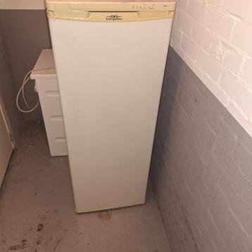 Everglades vriezer - 4 lades, 2 rekken (bezorging) beschikbaar voor biedingen