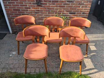 6 stoelen chairs restaurant kwaliteit hout rustiekbekleed 