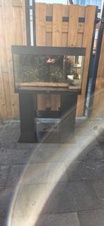 Juwel rio 125 aquarium, Dieren en Toebehoren, Vissen | Aquaria en Toebehoren, Ophalen, Zo goed als nieuw, Leeg aquarium