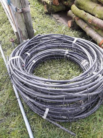 Tyleenslang druppelslang beschikbaar voor biedingen