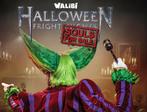 ❗️️Laatste kans️, Walibi fright nights tickets., Tickets en Kaartjes, Twee personen, Ticket of Toegangskaart