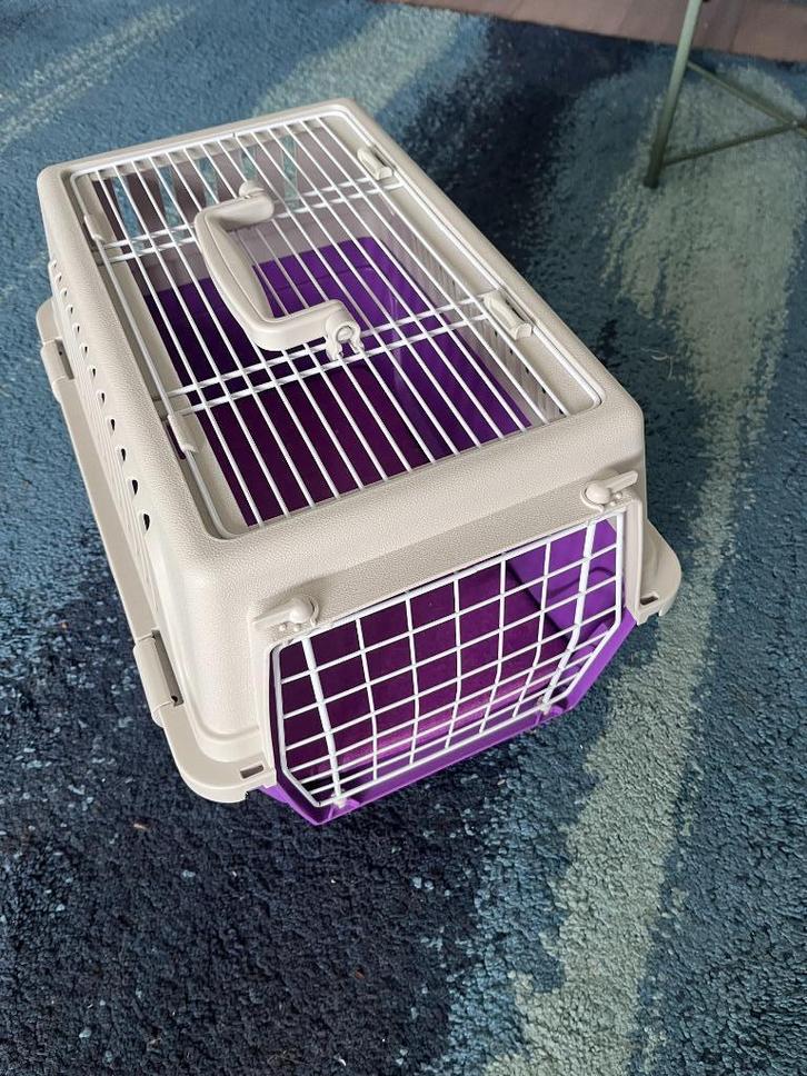 Hard-shell plastic pet carrier, Dieren en Toebehoren, Transportboxen, Ophalen