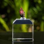 Rhodochrosiet uit Mexico #20, Verzamelen, Mineralen en Fossielen, Ophalen of Verzenden, Mineraal