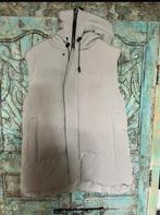 Malelions bodywarmer maat XL, Malelions, Maat 56/58 (XL), Ophalen of Verzenden, Zo goed als nieuw