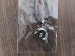 Kettinkje met hangertje van een dolfijn, Ophalen of Verzenden, Nieuw, Zilver, Overige materialen