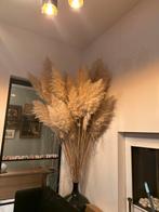 30> volle dikke pluimen op lange steel, Ophalen of Verzenden