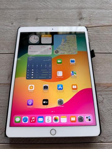 Ipad Pro 10.5 inch 256 GB met laadsnoer. In zeer goede staat beschikbaar voor biedingen