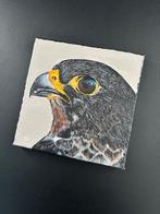 Schilderij roofvogel 20x20 cm, Ophalen of Verzenden