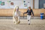 Goed gekeurde cremello pintaloosa tinker dekhengst pssm vrij, Dieren en Toebehoren, Paarden en Pony's | Dekhengsten en Fokmerries