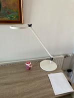 Waldmann Para.mi LED bureaulamp in doos, Verzenden, Nieuw