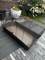 Cavia kooi, Kooi, Cavia, Ophalen, Minder dan 60 cm