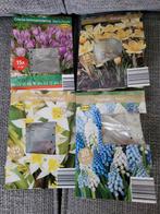 4 zakjes bloembollen crocus tulipa muscari mix, Tuin en Terras, Bloembollen en Zaden, Ophalen of Verzenden, Volle zon