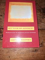 S.H. Wolinsky - Vuur van aandacht, Overige typen, Ophalen of Verzenden, Zo goed als nieuw, S.H. Wolinsky