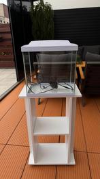 Aquarium met meubel, Dieren en Toebehoren, Vissen | Aquaria en Toebehoren, Ophalen of Verzenden, Zo goed als nieuw, Leeg aquarium