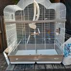 Grote vogelkooi, Dieren en Toebehoren, Vogels | Hokken en Kooien, Ophalen, Zo goed als nieuw, Metaal, Vogelkooi