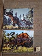 OPRUIMING   DINOSAURUS 12, Verzamelen, Ophalen, Paard