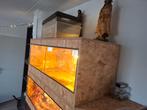 Terrarium te koop : 120x50x50, Dieren en Toebehoren, Reptielen en Amfibieën | Toebehoren, Ophalen