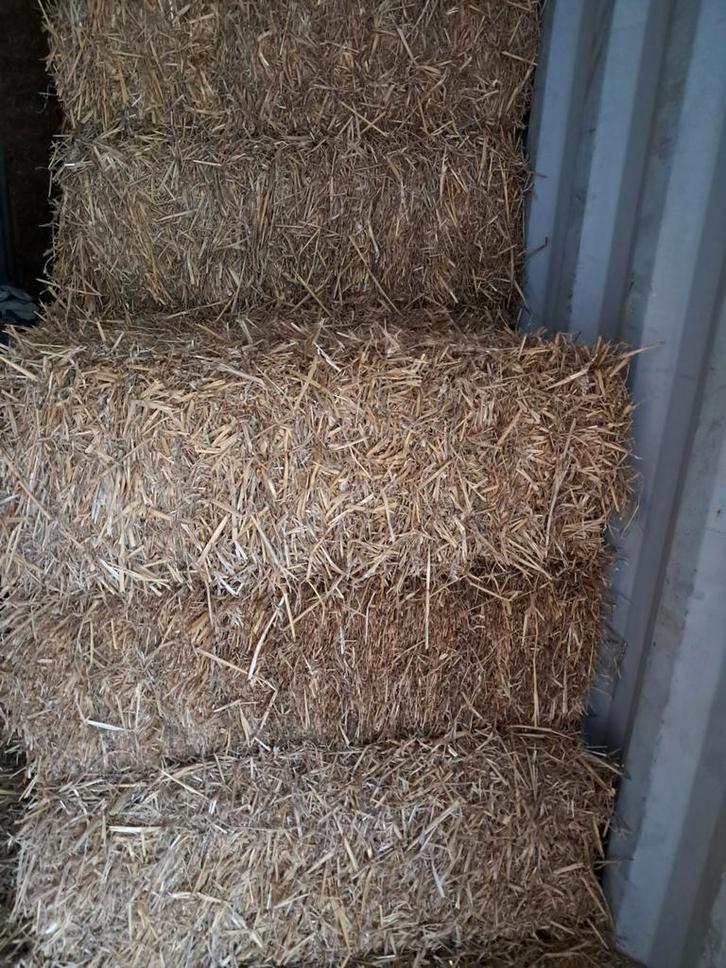 Hooi, stro, midibalen,krullen, houtvezel, gehakseld stro etc, Dieren en Toebehoren, Dierenvoeding, Vee, Ophalen of Verzenden