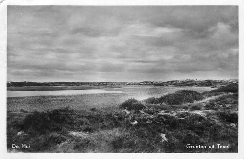 (388-074-039) Texel De Mui, Verzamelen, Ansichtkaarten | Nederland, Noord-Holland, Verzenden