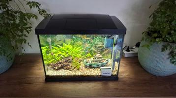 Superfish Aquarium start 50 met vissen beschikbaar voor biedingen