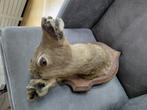 Reekop, Verzamelen, Dierenverzamelingen, Ophalen of Verzenden, Zo goed als nieuw, Beeldje of Figuurtje