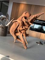 Zeer uniek stuk Kienhout / Driftwood / Spiderwood > aquarium, Ophalen of Verzenden, Plant(en), Steen of Hout