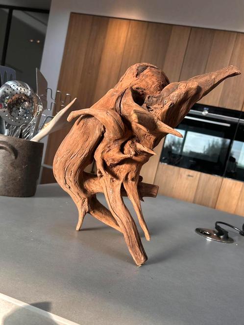 Zeer uniek stuk Kienhout / Driftwood / Spiderwood > aquarium, Dieren en Toebehoren, Vissen | Aquaria en Toebehoren, Plant(en), Steen of Hout