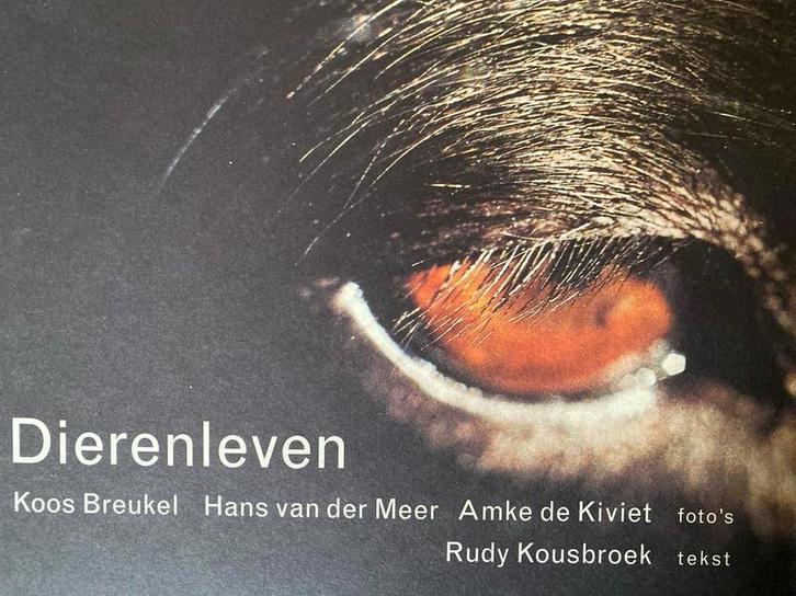Dierenleven - Koos Breukel e.a., Boeken, Kunst en Cultuur | Fotografie en Design, Gelezen, Ophalen of Verzenden