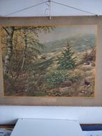 Oude schoolplaat IN HET DUIN en In de Noordzee  102 X 75, Antiek en Kunst, Ophalen, Natuur en Biologie