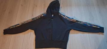Dames trui Adidas zgan beschikbaar voor biedingen