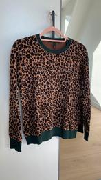 Scotch & Soda Trui Luipaardprint S, Bruin, Verzenden, Nieuw, Scotch & Soda