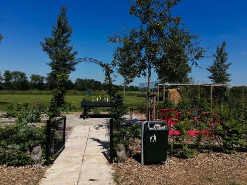 Ben je op zoek naar een moestuintje in Oisterwijk, Tuin en Terras, Planten | Fruitbomen, Ophalen