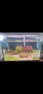 Volledige aquascape, Dieren en Toebehoren, Vissen | Aquaria en Toebehoren, Ophalen of Verzenden, Zo goed als nieuw
