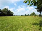 GEZOCHT Weiland / weide  te Koop / Te Huur valkenswaard, Ophalen of Verzenden