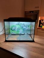 Tropical 50 Superfish aquarium met pomp en verwarming, Dieren en Toebehoren, Vissen | Aquaria en Toebehoren, Ophalen, Zo goed als nieuw