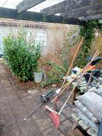 Tuinman/tuinhulp/hovenier aangeboden, Tuin en Terras, Overige Tuin en Terras, Ophalen of Verzenden, Nieuw