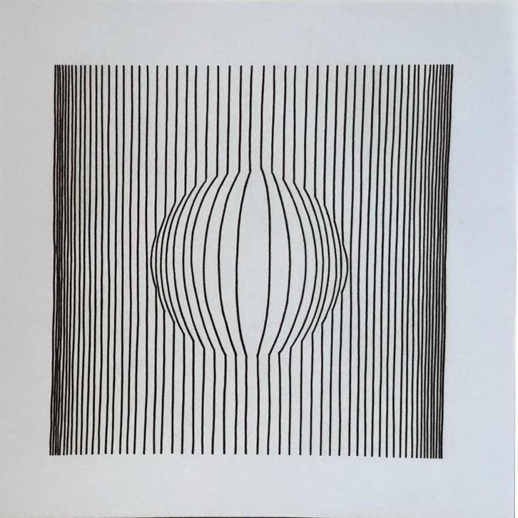 Mooie en betaalbare kunst v/h Grafiekkabinet, Antiek en Kunst, Kunst | Etsen en Gravures, Verzenden