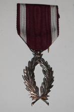 Belgische medaille Palmen in de Kroonorde zilver, Ophalen of Verzenden, Landmacht, Overige gebieden, Lintje, Medaille of Wings