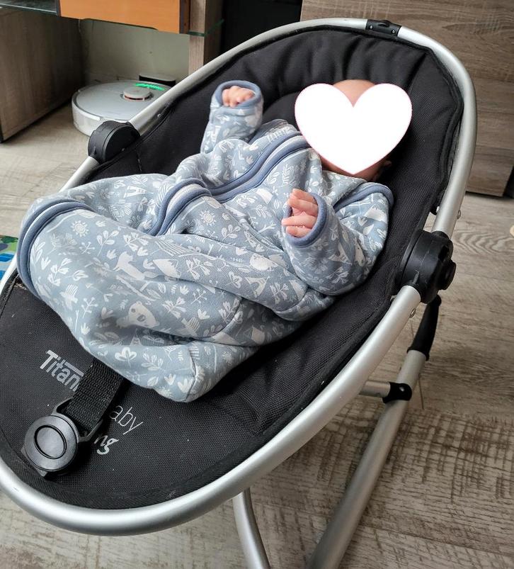 Titanium Baby swing (wipstoel), Kinderen en Baby's, Wipstoeltjes, Gebruikt, Wipstoel, Overige merken, Met gordel(s) of riempje(s)