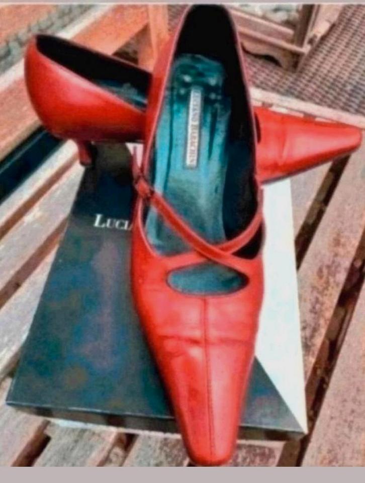 Enrico Gibellieri rode pumps 🌲met queeniehak 38, Kleding | Dames, Schoenen, Zo goed als nieuw, Pumps, Rood, Verzenden