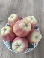 Fruitschaal met sierappels, Mand, Rond, Ophalen of Verzenden, Zo goed als nieuw