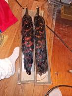 2 mooi pauwen 62 lang, Ophalen of Verzenden