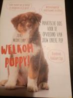 Welkom Puppy! - Joke Monteny, Boeken, Ophalen of Verzenden